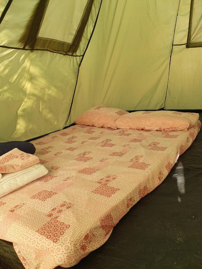 Campsite Camping A Selinunte *